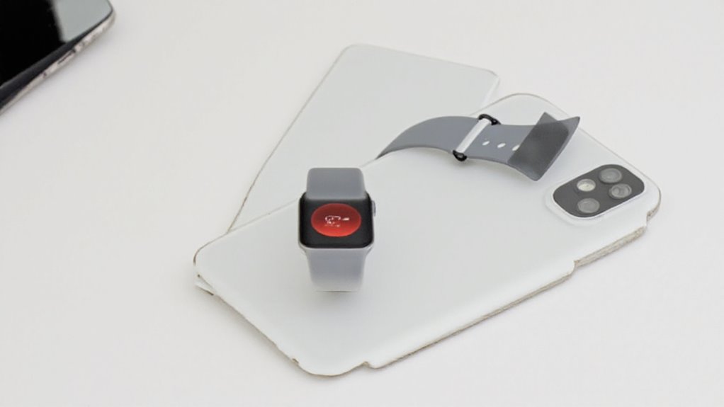 apple watch series 6 essentials